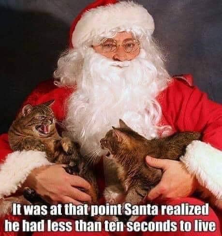 Santa and Pets