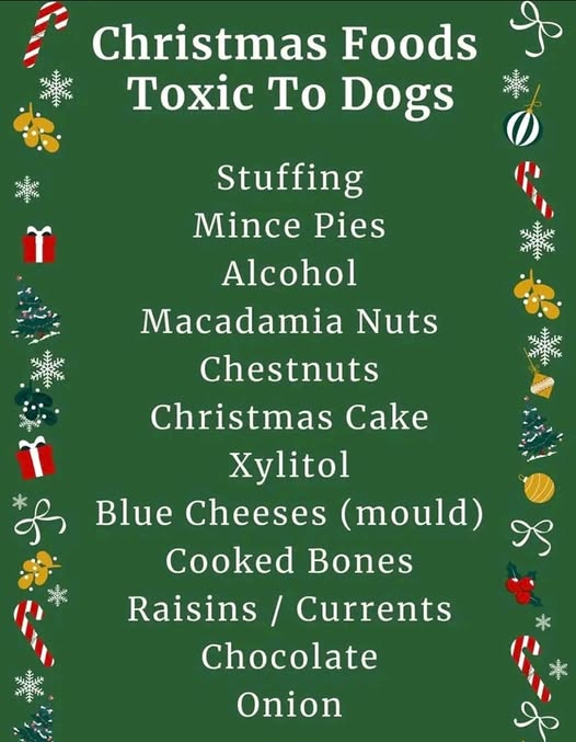 Christmas Foods Toxic to Dogs